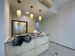 Oasis Garden (D19), Condominium #231992381